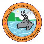 กับสนามเด็กเล่น bbl